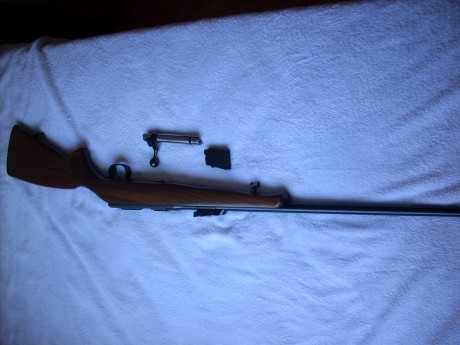 VENDIDA SE PUEDE CERRAR GRACIAS


Vendo escopeta Laurona modelo Derby con 71 cm de cañon, 5 choques intercambiables, 71
