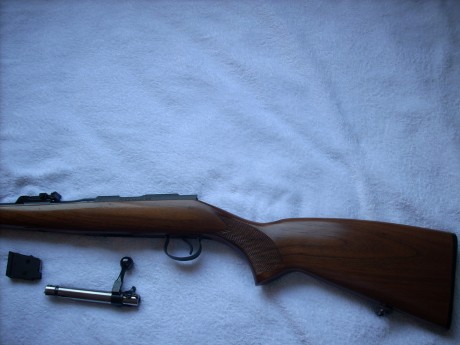 VENDIDA SE PUEDE CERRAR GRACIAS


Vendo escopeta Laurona modelo Derby con 71 cm de cañon, 5 choques intercambiables, 70