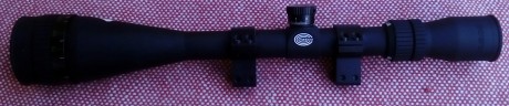     RESERVADO    

    Vendo visor Tasco Target Varmint Dot 10-40x50mm     en perfecto estado de funcionamiento.
.Lentes 61