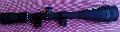     RESERVADO    

    Vendo visor Tasco Target Varmint Dot 10-40x50mm     en perfecto estado de funcionamiento.
.Lentes 60