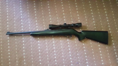 Vendo carabina Remington 597 del cal.22lr 

Esta pintada de negro. Lleva un visor Norica 4-9x40
1 cargador 50