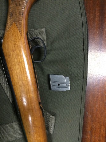 Carabina en perfecto estado CAL 22. Dispone de cargador de 5 disparos. sistema de mira de librillos muy 01