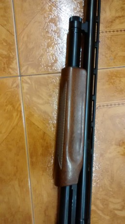 Que tal , vendo mosberg combo , nueva estrenar , dos cañones uno de bala estriado con magnaport y otro 02