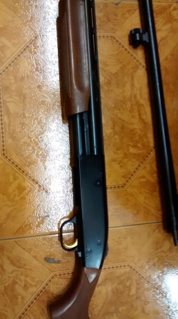 Que tal , vendo mosberg combo , nueva estrenar , dos cañones uno de bala estriado con magnaport y otro 20