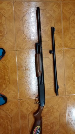 Que tal , vendo mosberg combo , nueva estrenar , dos cañones uno de bala estriado con magnaport y otro 50