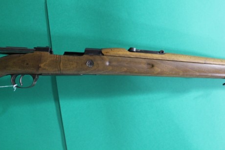 Hola quisiera pedir consejo sobre estos dos rifles que les tengo echados el ojo, ambos me gustan pero 81