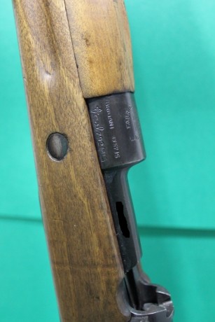Hola quisiera pedir consejo sobre estos dos rifles que les tengo echados el ojo, ambos me gustan pero 80
