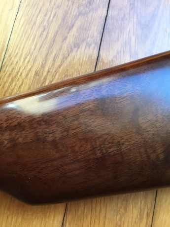 Hola, pongo a la venta carabina del calibre 22 marca browning modelo bl22, en perfecto estado, como nueva, 00