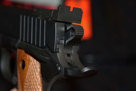 Hola a todos.
 Vendo mi STI Spartan 5"calibre 9 mm y comprada nueva por mí en marzo del año pasado 11