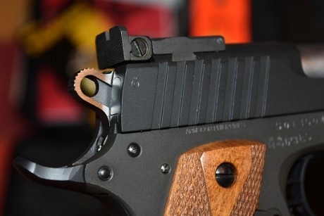 Hola a todos.
 Vendo mi STI Spartan 5"calibre 9 mm y comprada nueva por mí en marzo del año pasado 10