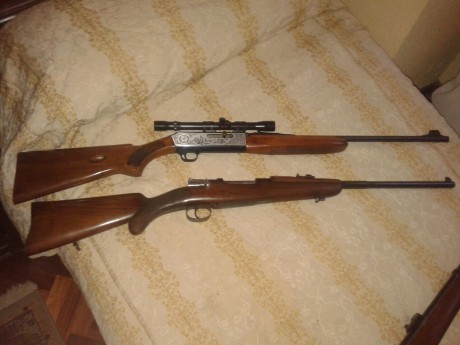 buenas tardes, necesito ayuda para determinar la marca de una carabina calibre 308 o 7,62 el punzon que 00