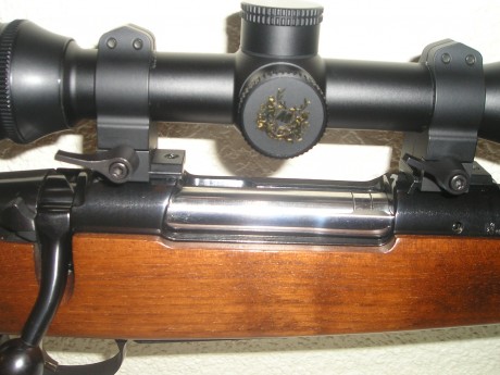 Hola todos. Al fin voi a adquirir mi primer rifle. Y si con cojo algo usado, que lo dudo,estoy interesado 10