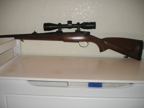 Hola todos. Al fin voi a adquirir mi primer rifle. Y si con cojo algo usado, que lo dudo,estoy interesado 20