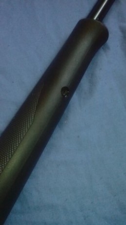 Hola compañeros, queria haceros una pregunta. Tengo una carabina del 22 de cerrojo con culata sintetica( 51
