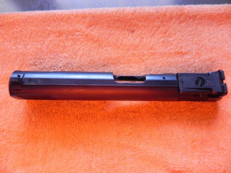 Hola.
Vendo pistola semiautomática TANFOGLIO, modelo¿P19?.Tiene cañón roscado de 5,5 pulgadas,contrapeso,alza 00