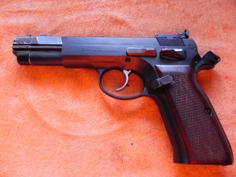 Hola.
Vendo pistola semiautomática TANFOGLIO, modelo¿P19?.Tiene cañón roscado de 5,5 pulgadas,contrapeso,alza 10