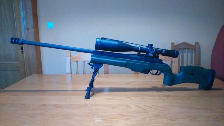 Buenos días,

Venta de Rifle Sako TRG22 Green y visor Nightforce NXS 8-32x56.

Con el rifle se incluye:
-Bípode 01