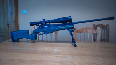 Buenos días,

Venta de Rifle Sako TRG22 Green y visor Nightforce NXS 8-32x56.

Con el rifle se incluye:
-Bípode 00