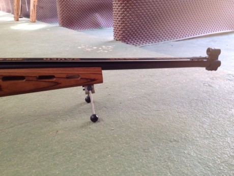 Vendo fusil sauer modelo  200 str con dos cañones, uno de .308 con 1.300 disparos y otro de 6,5x55 con 22