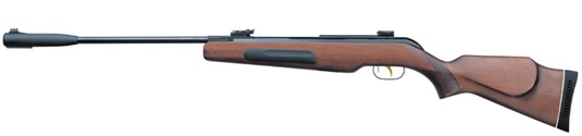 Hola, tengo ganas de tener una carabina en 6,35, principalmente para tirar en mi chalet; a dianas, latas 00