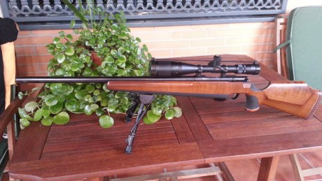 Vendo rifle Anschütz 1742 en cal. 222 Rem.  con visor Nilon Monarch  UCC 6,5-20 x 44 muy luminoso ajuste 12