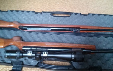 Vendo hw 97 y gamo stutzen.
4,5 las dos.
La hw a 16j, impecable.  260e

La stutzen A ESTRENAR, totalmente 01