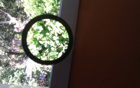 Impecable.
Tiene pocos augmentos pero es de lejor el visor más nitido que he tenido. 
Reticula 30/30.

Va 10