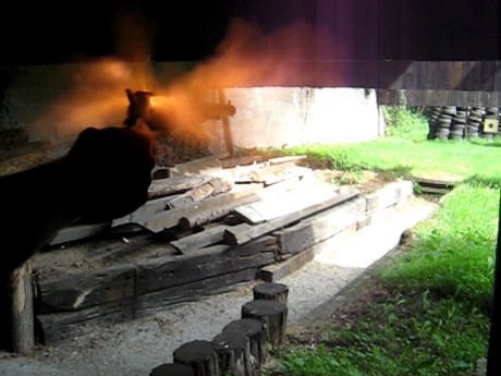 Ayer estuve tirando con un colt y con un remington los dos calibre 44 en el remington cuando disparas 40