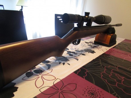 Se vende esta preciosidad de arma, DIANA 350 MAGNUN PRO ,CAL 5,5 /22  es una de las carabinas de resorte 10
