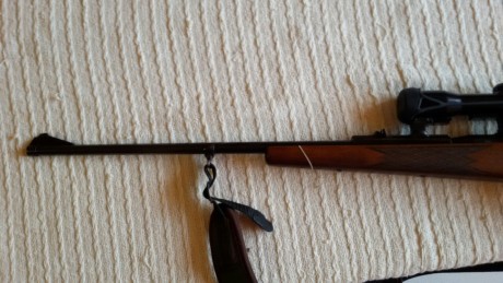 Vendo Mauser 66 calibre 7x64. Cañón 65 cm. Doble disparador con pretensor. Visor Zeiss 1.5x6x. bases y 00