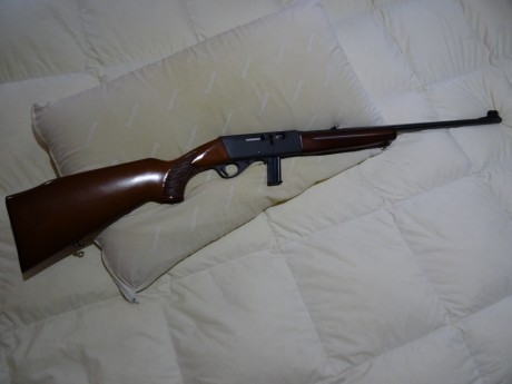 regalado 00
