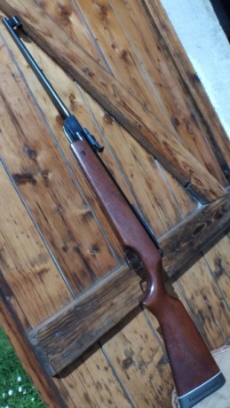 días, vendo esta diana 45T01 en perfecto estado de conservación y funcionamiento. Calibre 4.5.  3.5 kilogramos. 02