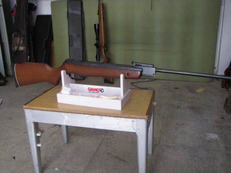 vendo carabina gamo 60 euros con porte incluido.
atiendo wasat 660626202 00