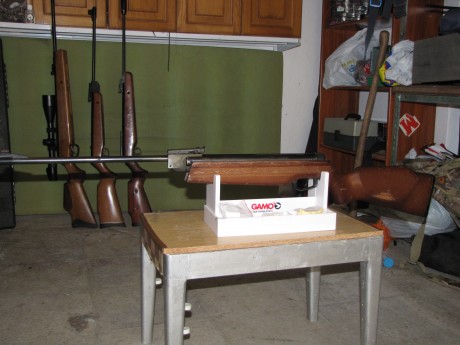 se vende carabina gamo 60 euros con portes incluidos.
atiendo wasat 660626202. 00