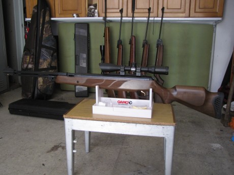 vendo hatsan torpedo carabina sóla 195 euros con portes incluidos, con visor leapers 3x9x50 con monturas 01