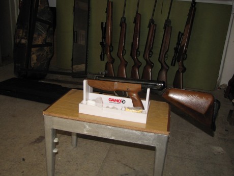 se vende carabina gamo 70 euros puesta en casa atiendo wasat 660626202. 00
