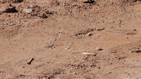 En caso de serlo,¿son antiguos o de época actual?
 Y la siguiente fotos , ¿puede ser un esqueleto?.
  01