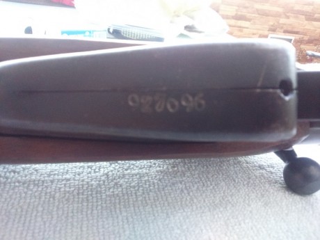 Buenas tardes
Acabo de adquirir este rifle a un compañero del club y estoy intentando recavar toda la 22