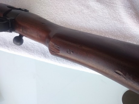 Buenas tardes
Acabo de adquirir este rifle a un compañero del club y estoy intentando recavar toda la 31
