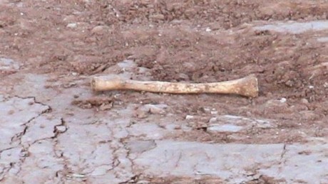 En caso de serlo,¿son antiguos o de época actual?
 Y la siguiente fotos , ¿puede ser un esqueleto?.
  30