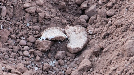 En caso de serlo,¿son antiguos o de época actual?
 Y la siguiente fotos , ¿puede ser un esqueleto?.
  42