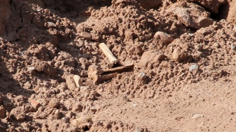 En caso de serlo,¿son antiguos o de época actual?
 Y la siguiente fotos , ¿puede ser un esqueleto?.
  41