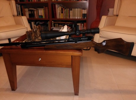 Vendo carabina pcp BSA buccaneer SE (nueva) 20 disparos, con garantia de la casa de 2 años. 
Se vende 02