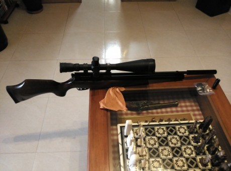Vendo carabina pcp BSA buccaneer SE (nueva) 20 disparos, con garantia de la casa de 2 años. 
Se vende 00