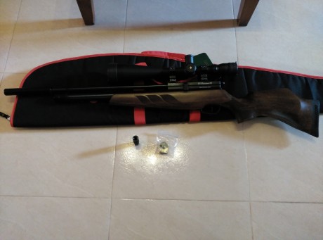 Vendo carabina pcp BSA buccaneer SE (nueva) 20 disparos, con garantia de la casa de 2 años. 
Se vende 10