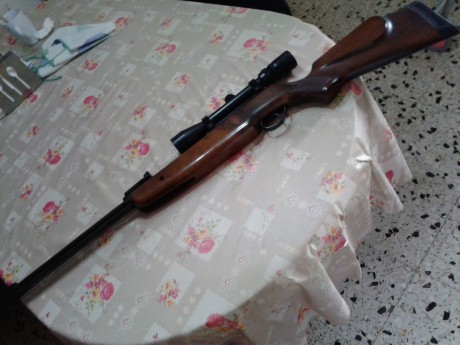 -  Vendo carabina Bsa Gold, calibre 4,5, su estado es muy bueno, tanto culata como pavón, muelle y sello 00