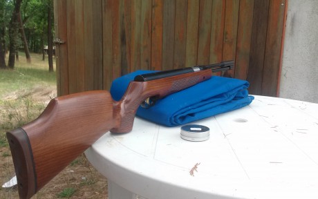 Vendo hw 97 y gamo stutzen.
4,5 las dos.
La hw a 16j, impecable.  260e

La stutzen A ESTRENAR, totalmente 81