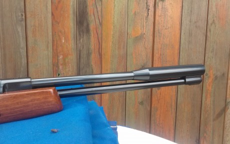 Vendo hw 97 y gamo stutzen.
4,5 las dos.
La hw a 16j, impecable.  260e

La stutzen A ESTRENAR, totalmente 91