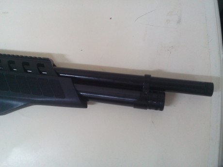 Hola, parece ser que ya tenemos esta carabina  en una armería en España.  Alguien la tiene  o sabe algo 171