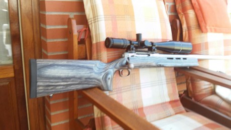Se vende este Savage 12 Benchrest en calibre 6.5x284 norma. 
Cañon inoxidable de 29".
Accutriger.

Esta 00